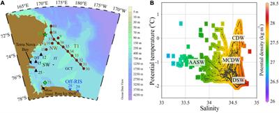 Ross Sea Dissolved Organic Matter Optical Properties During an Austral Summer: Biophysical Influences